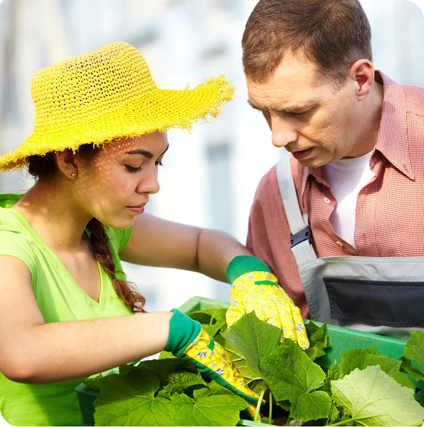 agricultural workforce