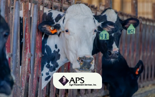 Farm Health and Safety Best Practices